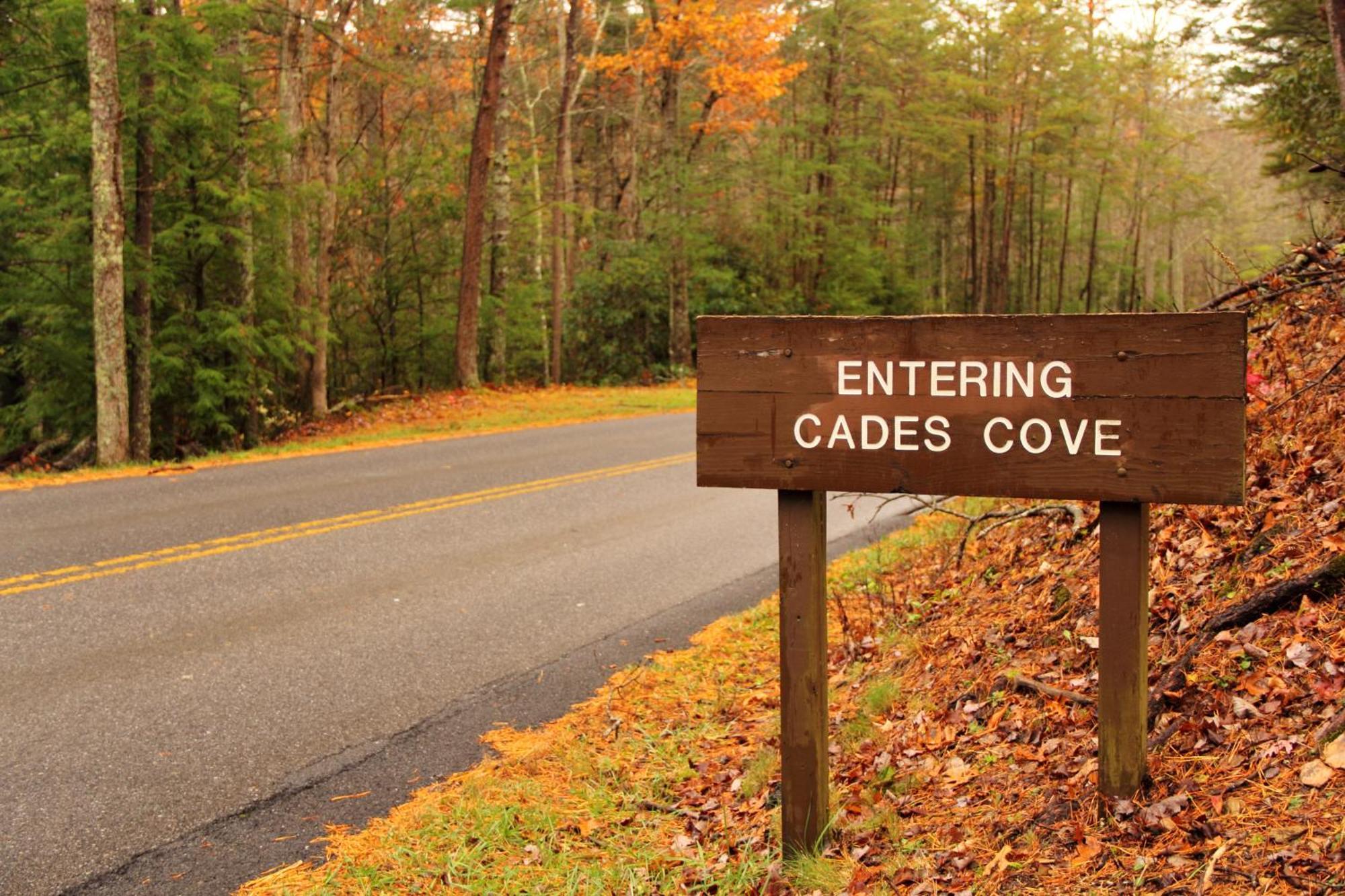 Laurel Cottage, 1089 Free Tickets Each Paid Day, Dollywood And More Sevierville Exterior photo
